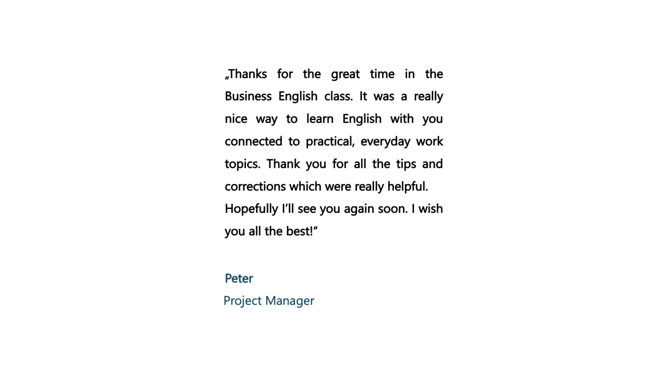 Rezension Peter Project Manager